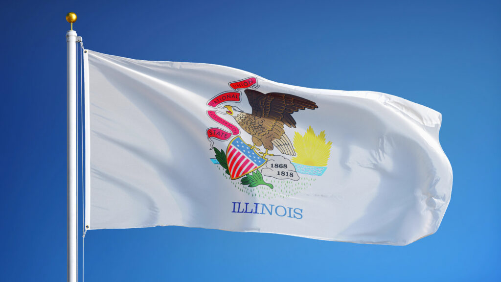 Illinois annual report filing service for a small business owner using a laptop